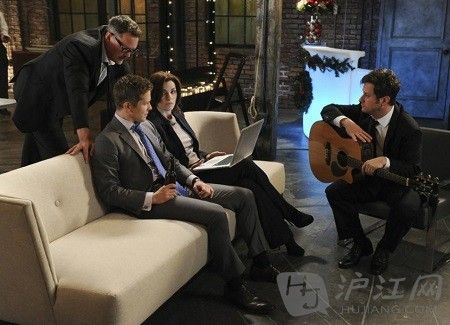 苏北杨树大区:警惕树种单一引发生态风险|xc sports(图1) xc体育