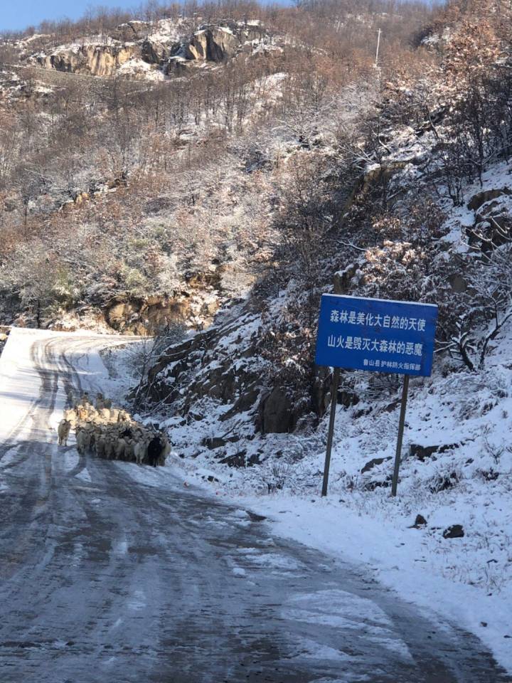 xc sports:2017年12月22日山东生姜主产区价格行情(图2) xc体育