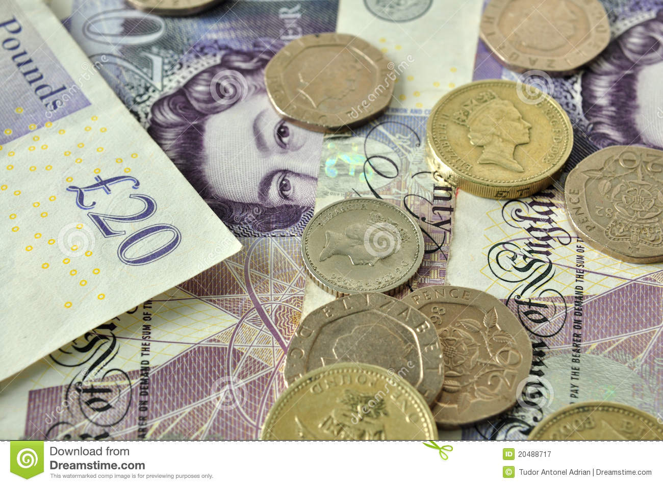 xc体育:今日猪价上涨吗?2019年全国生猪价格行情预测(图1) xc体育