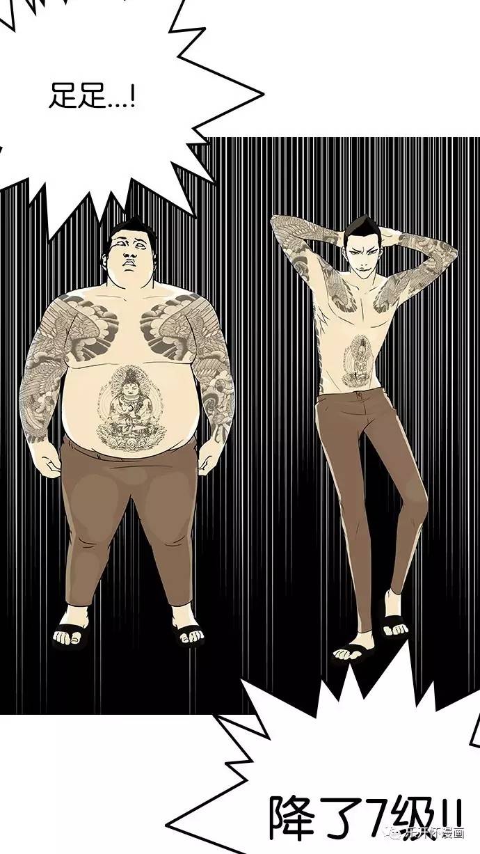 白菜批发价多少钱一斤?2018年白菜主产区最新收购价格|xc sports(图4) xc sports