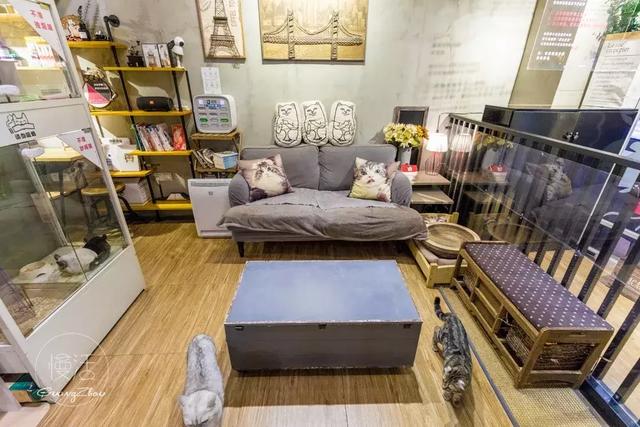 【xc sports】土地规模经营对农资行业的影响(图2) xc体育