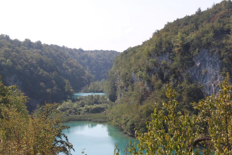 新西兰进口原木连续三年超过俄罗斯成中国原木最大供应地:xc体育(图4) xc sports