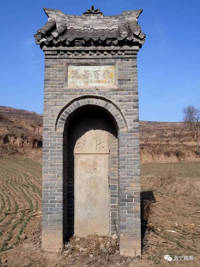 7月21日生猪价格行情:南北猪价涨势及范围继续扩大:xc sports(图1) xc sports